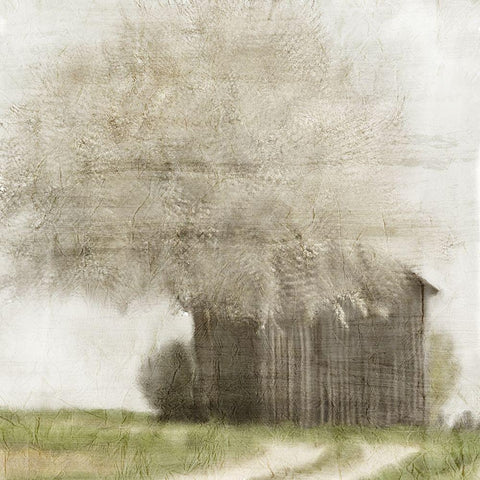 By the Tree White Modern Wood Framed Art Print with Double Matting by Kimberly, Allen