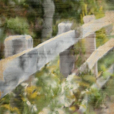 Wildflower Fence Line White Modern Wood Framed Art Print with Double Matting by Kimberly, Allen