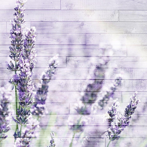 Lavender Fields 2 White Modern Wood Framed Art Print with Double Matting by Kimberly, Allen