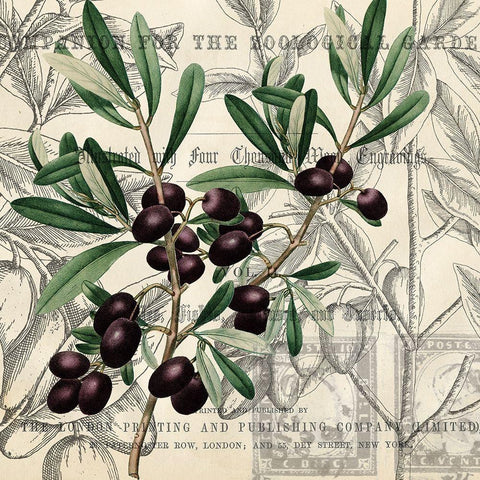 Olive Branch 3 Black Ornate Wood Framed Art Print with Double Matting by Kimberly, Allen
