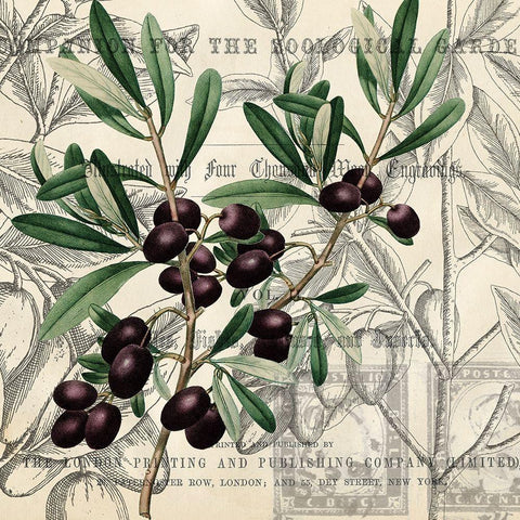Olive Branch 3 Black Modern Wood Framed Art Print with Double Matting by Kimberly, Allen