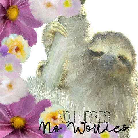 No Hurries White Modern Wood Framed Art Print with Double Matting by Kimberly, Allen