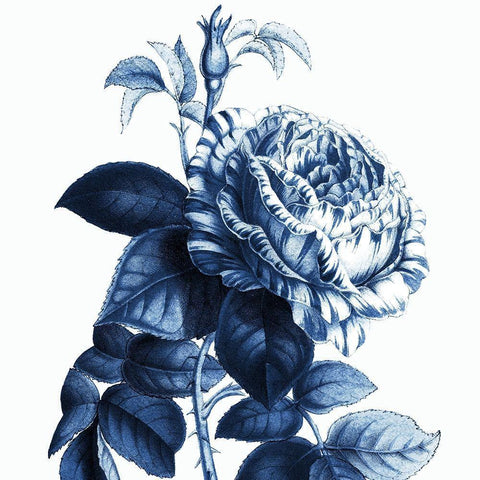 White Indigo 1 v2 White Modern Wood Framed Art Print with Double Matting by Kimberly, Allen