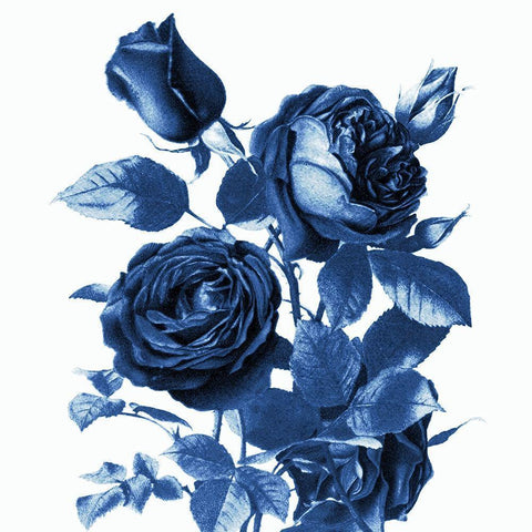 White Indigo 2 v2 Black Modern Wood Framed Art Print by Kimberly, Allen