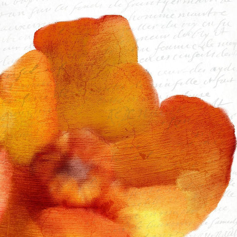 Bold Bloom 1 Gold Ornate Wood Framed Art Print with Double Matting by Kimberly, Allen