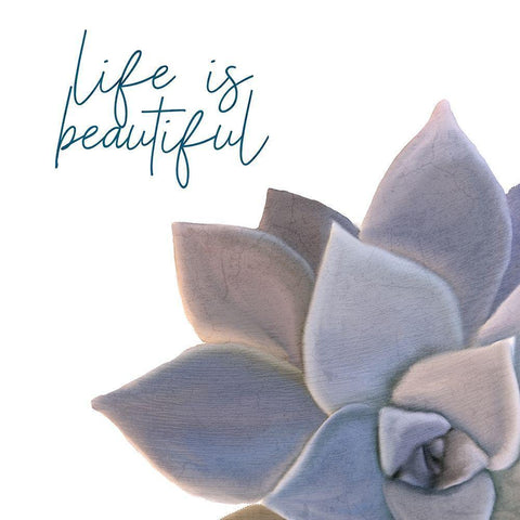 Life is Beautiful White Modern Wood Framed Art Print with Double Matting by Kimberly, Allen