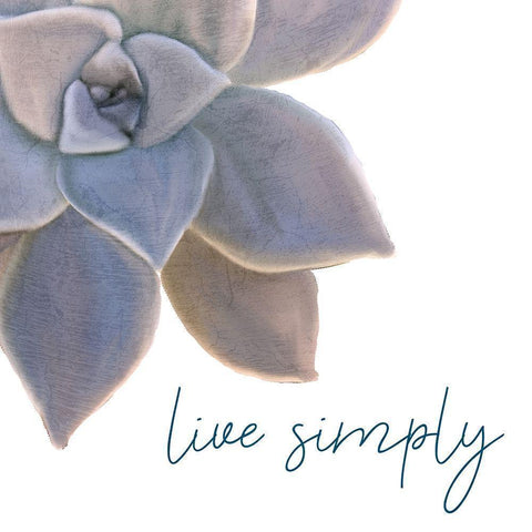 Live Simply Black Modern Wood Framed Art Print by Kimberly, Allen
