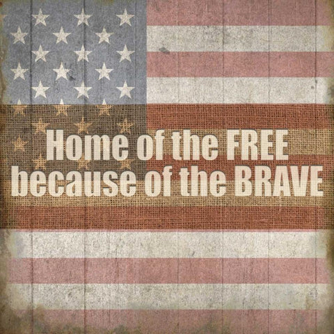 Americana 2 Black Ornate Wood Framed Art Print with Double Matting by Allen, Kimberly