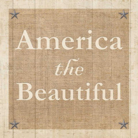 Americana 4 White Modern Wood Framed Art Print by Allen, Kimberly