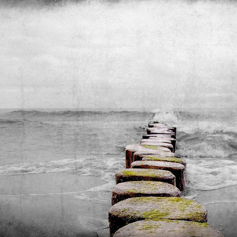 Beach Line Black Ornate Wood Framed Art Print with Double Matting by Kimberly, Allen