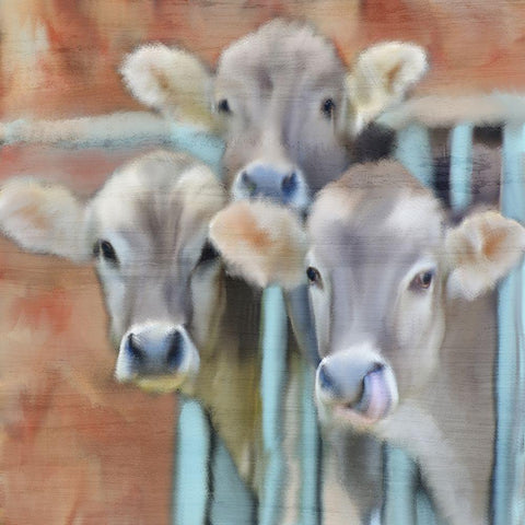 Three of a Kind White Modern Wood Framed Art Print by Kimberly, Allen