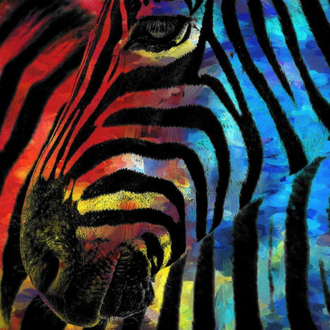 Zebra 1 White Modern Wood Framed Art Print by Kimberly, Allen