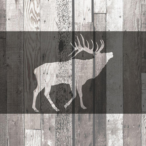 Wildlife 4 Black Modern Wood Framed Art Print with Double Matting by Kimberly, Allen