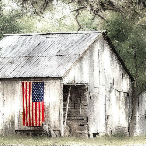 Old Glory 2 White Modern Wood Framed Art Print with Double Matting by Kimberly, Allen