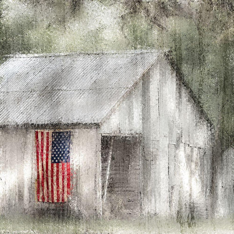Old Glory White Modern Wood Framed Art Print with Double Matting by Kimberly, Allen