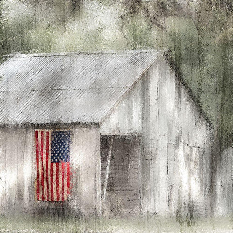 Old Glory White Modern Wood Framed Art Print by Kimberly, Allen