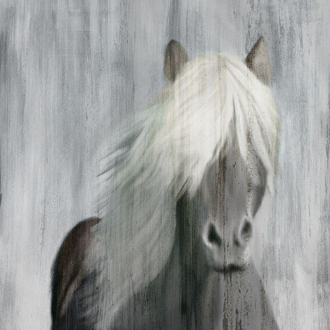 White Mane Black Modern Wood Framed Art Print by Kimberly, Allen