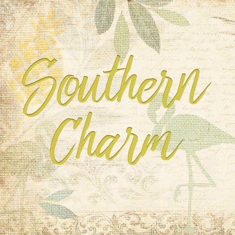 Southern Charm 4 Black Ornate Wood Framed Art Print with Double Matting by Allen, Kimberly