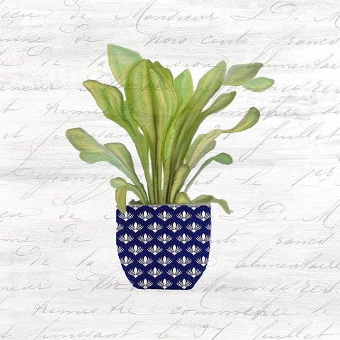 Blue Pots 1 White Modern Wood Framed Art Print with Double Matting by Kimberly, Allen