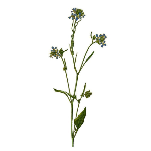 Family Gathers 5 Black Modern Wood Framed Art Print by Kimberly, Allen