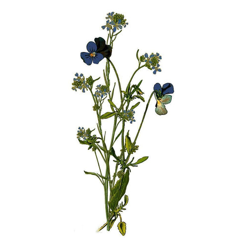 Family Gathers 6 Black Modern Wood Framed Art Print by Kimberly, Allen