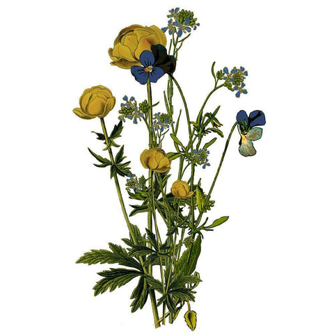 Family Gathers 14 Black Modern Wood Framed Art Print by Kimberly, Allen