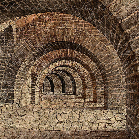 Underground 1 Black Ornate Wood Framed Art Print with Double Matting by Kimberly, Allen