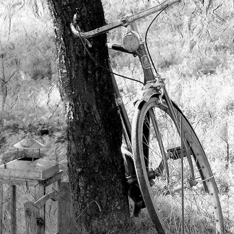 Out for a Ride Black Ornate Wood Framed Art Print with Double Matting by Kimberly, Allen