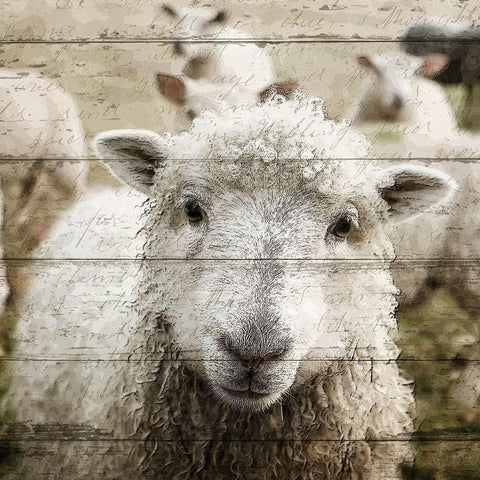 Farm Life 1 Black Modern Wood Framed Art Print with Double Matting by Kimberly, Allen