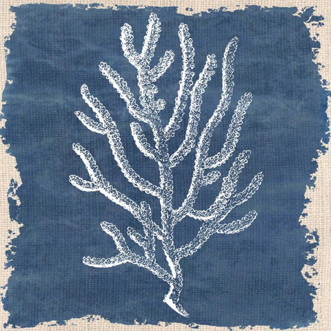 Coral Square 1 Black Ornate Wood Framed Art Print with Double Matting by Allen, Kimberly