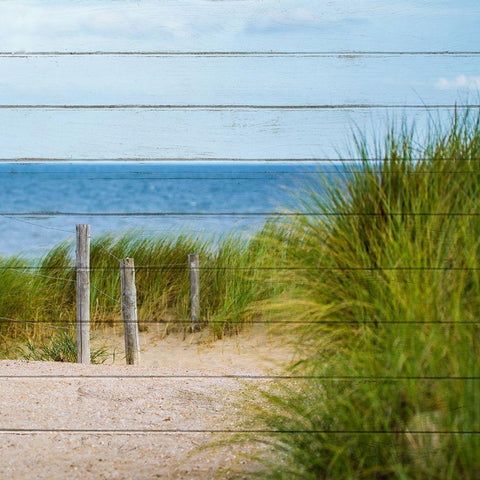 Beach Ready 4 Black Modern Wood Framed Art Print with Double Matting by Kimberly, Allen