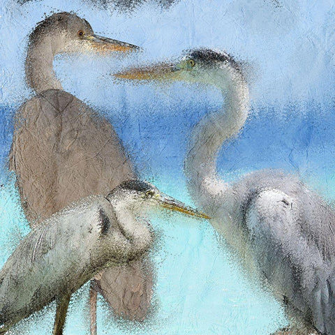 Herons White Modern Wood Framed Art Print with Double Matting by Kimberly, Allen