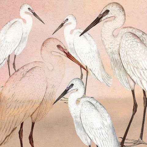 Cranes in Pink White Modern Wood Framed Art Print with Double Matting by Kimberly, Allen