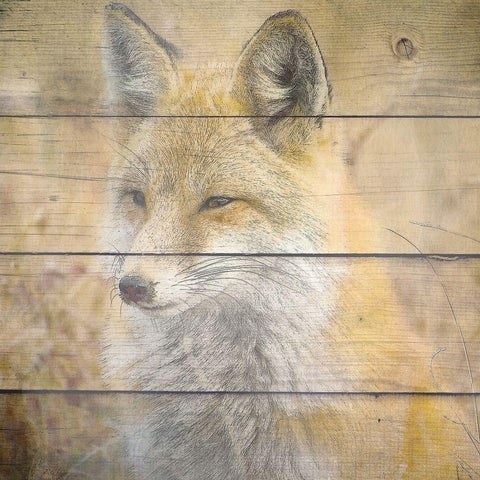 Woodland 2 Gold Ornate Wood Framed Art Print with Double Matting by Kimberly, Allen