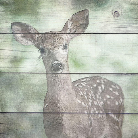 Woodland 4 Black Modern Wood Framed Art Print by Kimberly, Allen