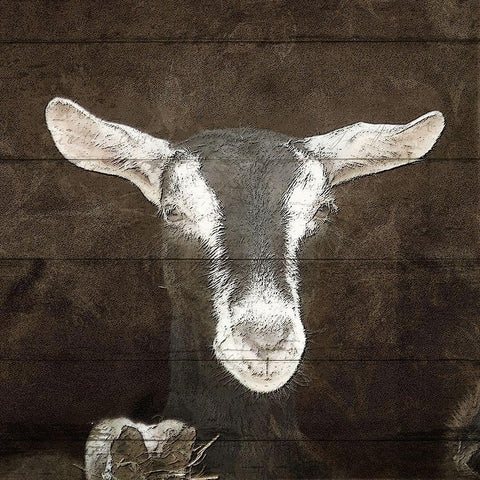 Farm Life 4 Black Modern Wood Framed Art Print by Kimberly, Allen