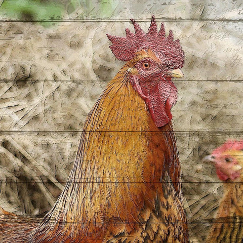 Farm Life 5 Gold Ornate Wood Framed Art Print with Double Matting by Kimberly, Allen