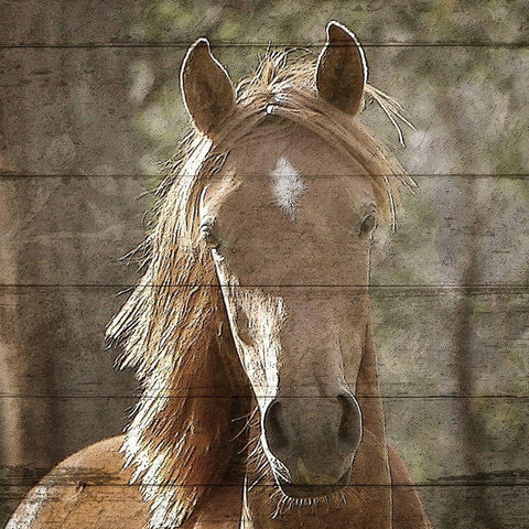 Farm Life 6 Black Modern Wood Framed Art Print by Kimberly, Allen