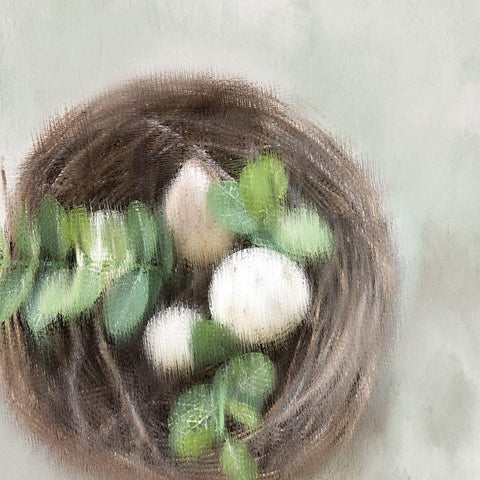 Our Nest 1 White Modern Wood Framed Art Print with Double Matting by Kimberly, Allen