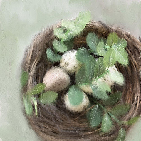 Our Nest 3 Black Ornate Wood Framed Art Print with Double Matting by Kimberly, Allen