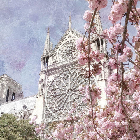 Paris in Bloom 3 White Modern Wood Framed Art Print by Kimberly, Allen