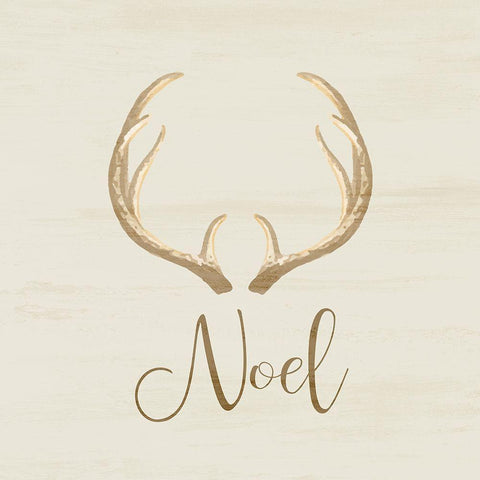 Noel Antler Black Modern Wood Framed Art Print with Double Matting by Kimberly, Allen