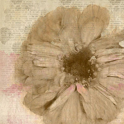 Newspaper Floral 1 White Modern Wood Framed Art Print by Allen, Kimberly