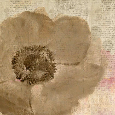 Newspaper Floral 2 Black Modern Wood Framed Art Print by Allen, Kimberly