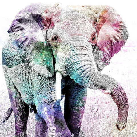 Elephant Colors White Modern Wood Framed Art Print by Kimberly, Allen