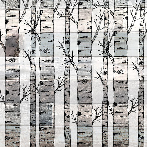 Aspen Walk Black Ornate Wood Framed Art Print with Double Matting by Kimberly, Allen
