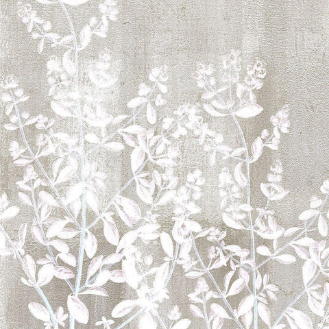 Neutral Botanical Square 1 White Modern Wood Framed Art Print with Double Matting by Kimberly, Allen