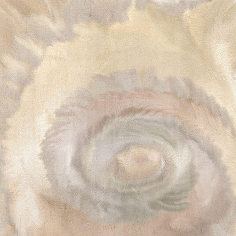 Neutral Swirl Black Modern Wood Framed Art Print with Double Matting by Kimberly, Allen