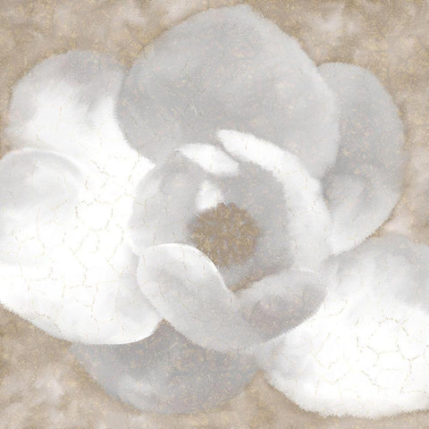 Magnolia Center 1 Black Ornate Wood Framed Art Print with Double Matting by Kimberly, Allen