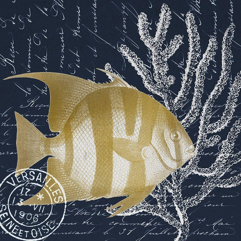 Fish Blues 1 Black Modern Wood Framed Art Print with Double Matting by Kimberly, Allen